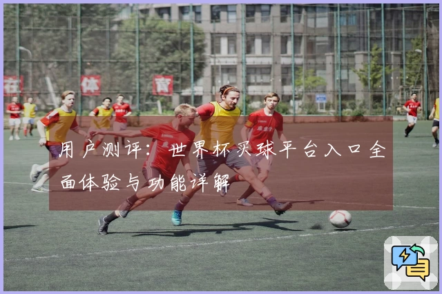 用户测评：世界杯买球平台入口全面体验与功能详解