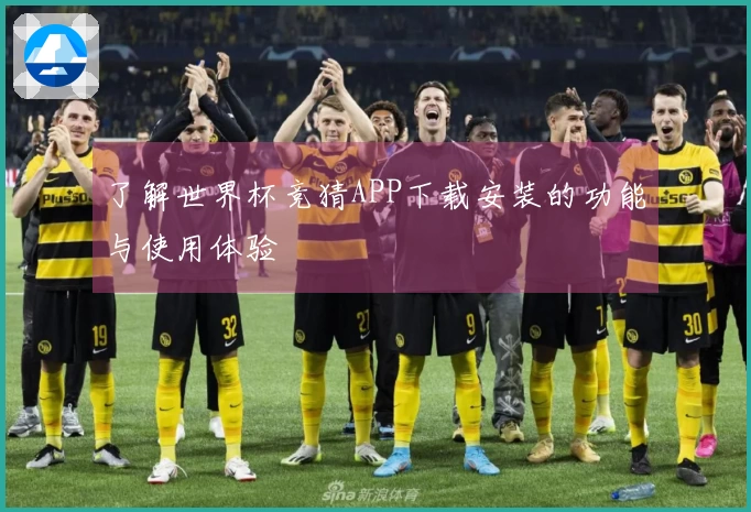 了解世界杯竞猜APP下载安装的功能与使用体验