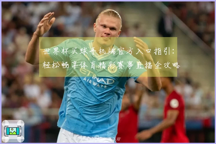 世界杯买球手机端官方入口指引：轻松畅享体育精彩赛事直播全攻略