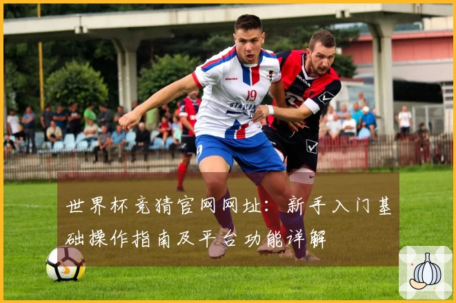 世界杯竞猜官网网址：新手入门基础操作指南及平台功能详解
