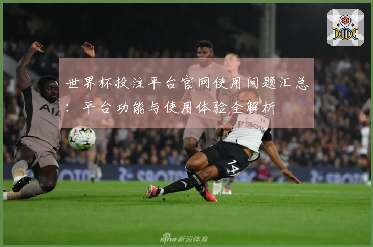 世界杯投注平台官网使用问题汇总：平台功能与使用体验全解析